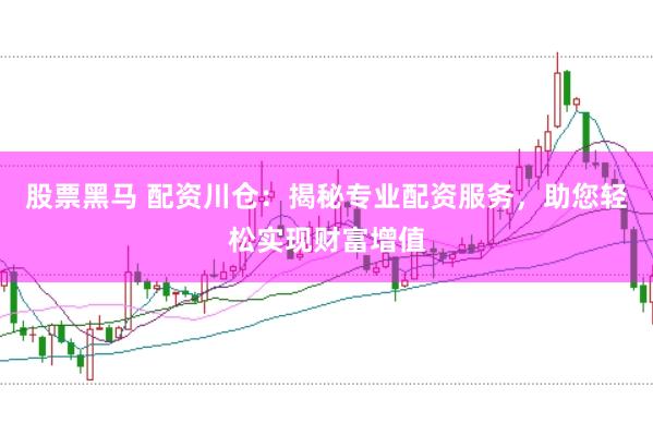 股票黑马 配资川仓：揭秘专业配资服务，助您轻松实现财富增值