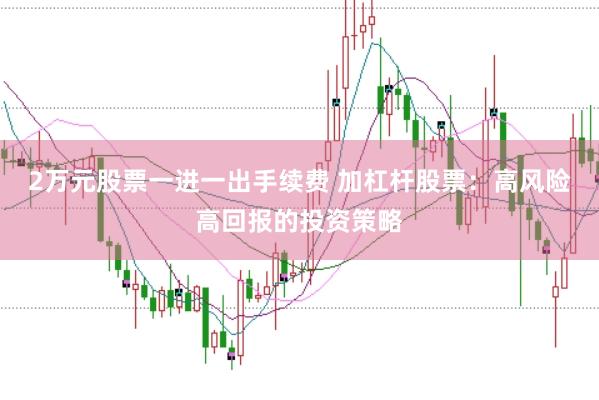 2万元股票一进一出手续费 加杠杆股票：高风险高回报的投资策略