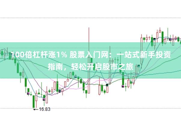 100倍杠杆涨1% 股票入门网：一站式新手投资指南，轻松开启股市之旅
