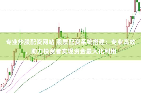 专业炒股配资网站 股票配资系统搭建：专业高效，助力投资者实现资金最大化利用