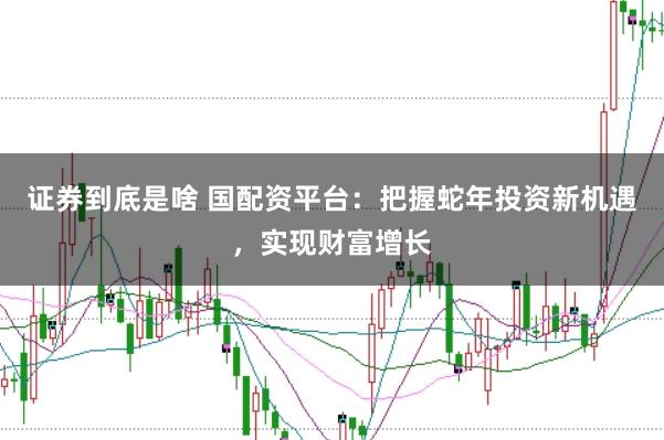 证券到底是啥 国配资平台：把握蛇年投资新机遇，实现财富增长