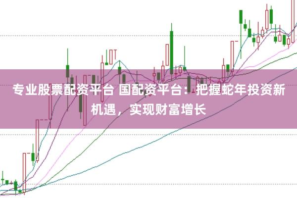 专业股票配资平台 国配资平台：把握蛇年投资新机遇，实现财富增长