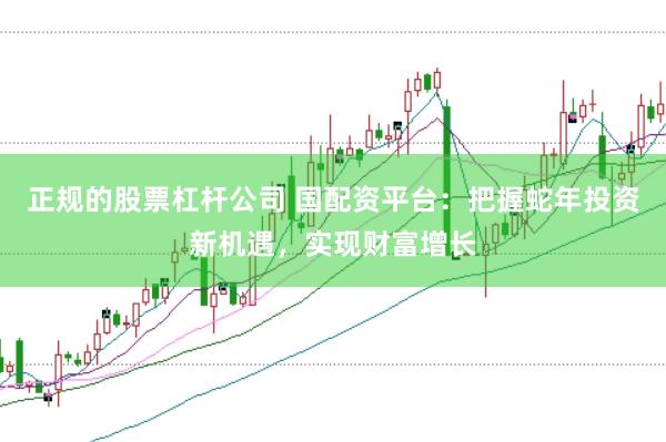正规的股票杠杆公司 国配资平台：把握蛇年投资新机遇，实现财富增长