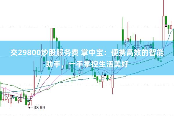 交29800炒股服务费 掌中宝：便携高效的智能助手，一手掌控生活美好