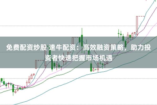 免费配资炒股 速牛配资：高效融资策略，助力投资者快速把握市场机遇