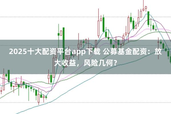 2025十大配资平台app下载 公募基金配资：放大收益，风险几何？