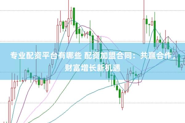 专业配资平台有哪些 配资加盟合同：共赢合作，财富增长新机遇