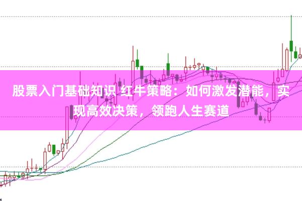 股票入门基础知识 红牛策略：如何激发潜能，实现高效决策，领跑人生赛道