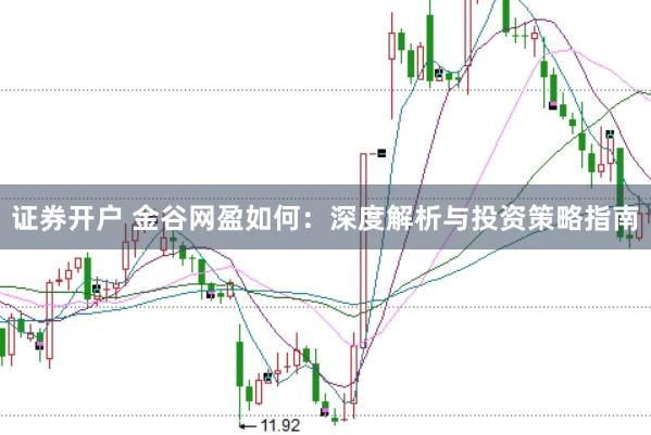 证券开户 金谷网盈如何：深度解析与投资策略指南