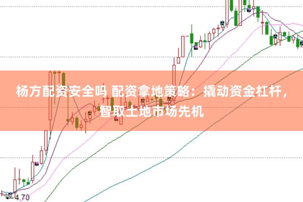 杨方配资安全吗 配资拿地策略：撬动资金杠杆，智取土地市场先机