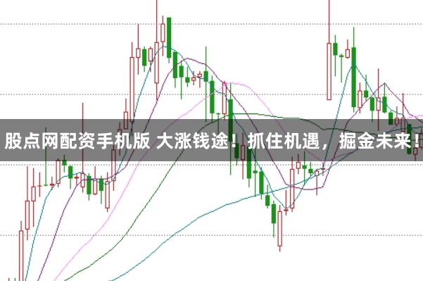 股点网配资手机版 大涨钱途！抓住机遇，掘金未来！