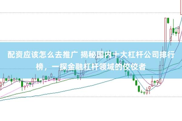配资应该怎么去推广 揭秘国内十大杠杆公司排行榜，一探金融杠杆领域的佼佼者