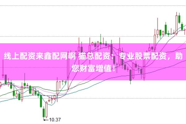 线上配资来鑫配网啊 猫总配资：专业股票配资，助您财富增值！