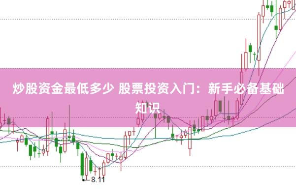 炒股资金最低多少 股票投资入门:新手必备基础知识