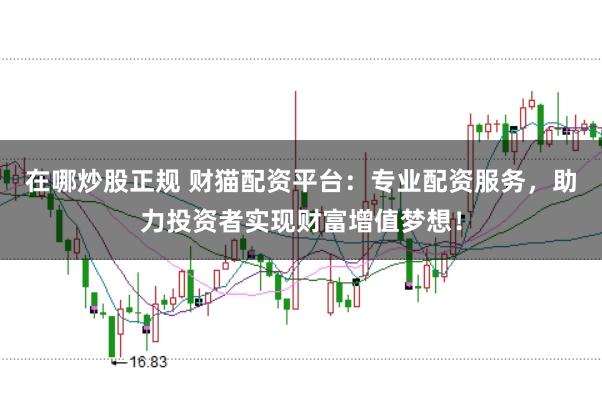 在哪炒股正规 财猫配资平台：专业配资服务，助力投资者实现财富增值梦想！