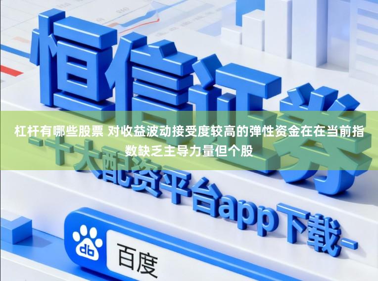 杠杆有哪些股票 对收益波动接受度较高的弹性资金在在当前指数缺乏主导力量但个股
